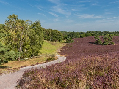 Ontdek Zuid-Limburg